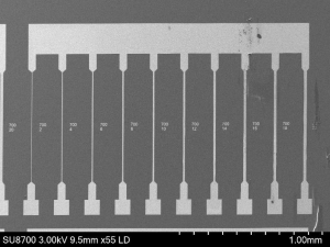 SEM Analysis - Sample without top layer