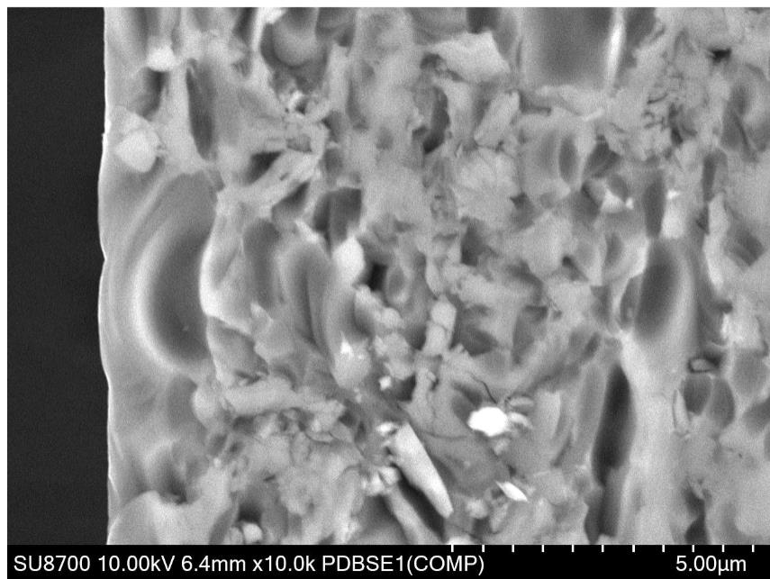 SEM Analysis Pre-treatment surface showing collapsed structures and mesh-like debris.