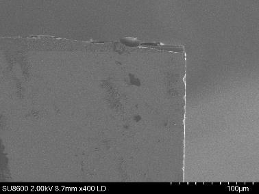 SEM Analysis