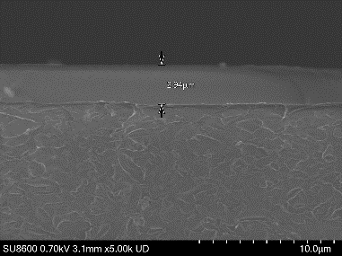 SEM Analysis chip